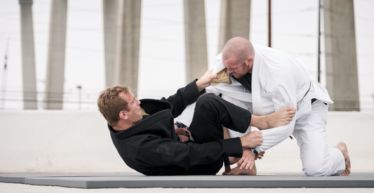 Two men fighting hand-to-hand, similar to how the Nightstalker Warriors of The Eversfield Academy Vampire Hunters romantic YA urban fantasy series might fight each other to practice fighting vampires