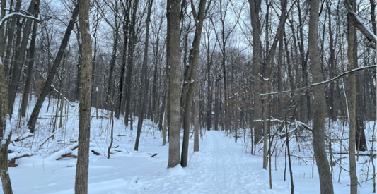 An ode to winter: my thoughts on winter, snow, and cold