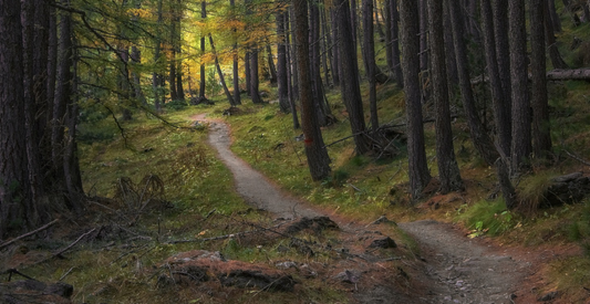 They say never go back and why I didn't listen