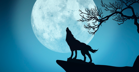 Werewolves in The Eversfield Academy Vampire Hunters series by Betsy Flak
