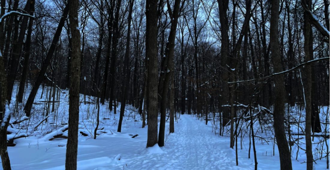 An ode to winter: my thoughts on winter, snow, and cold